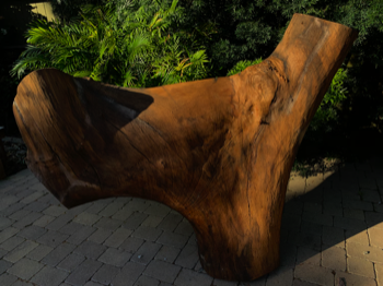 Created a sculpture as a reminder of the beautiful tree